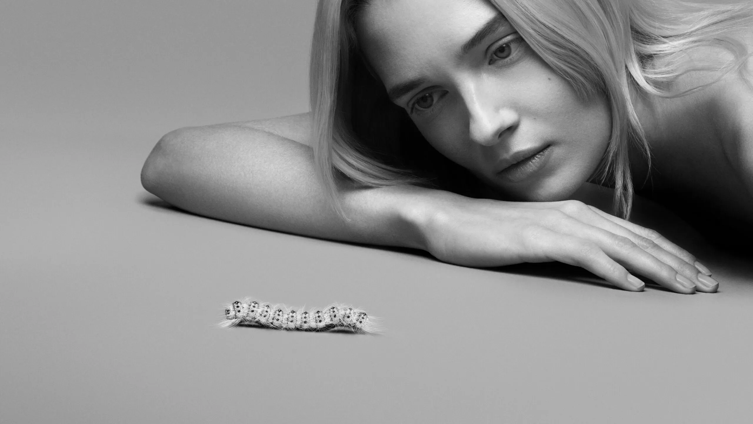 <p>Caterpillar articulated brooch from Composition No.4 of the Boucheron Impermanence High Jewellery collection, crafted in white gold, diamonds, black spinels, and ‘fine hair’ fibres </p>