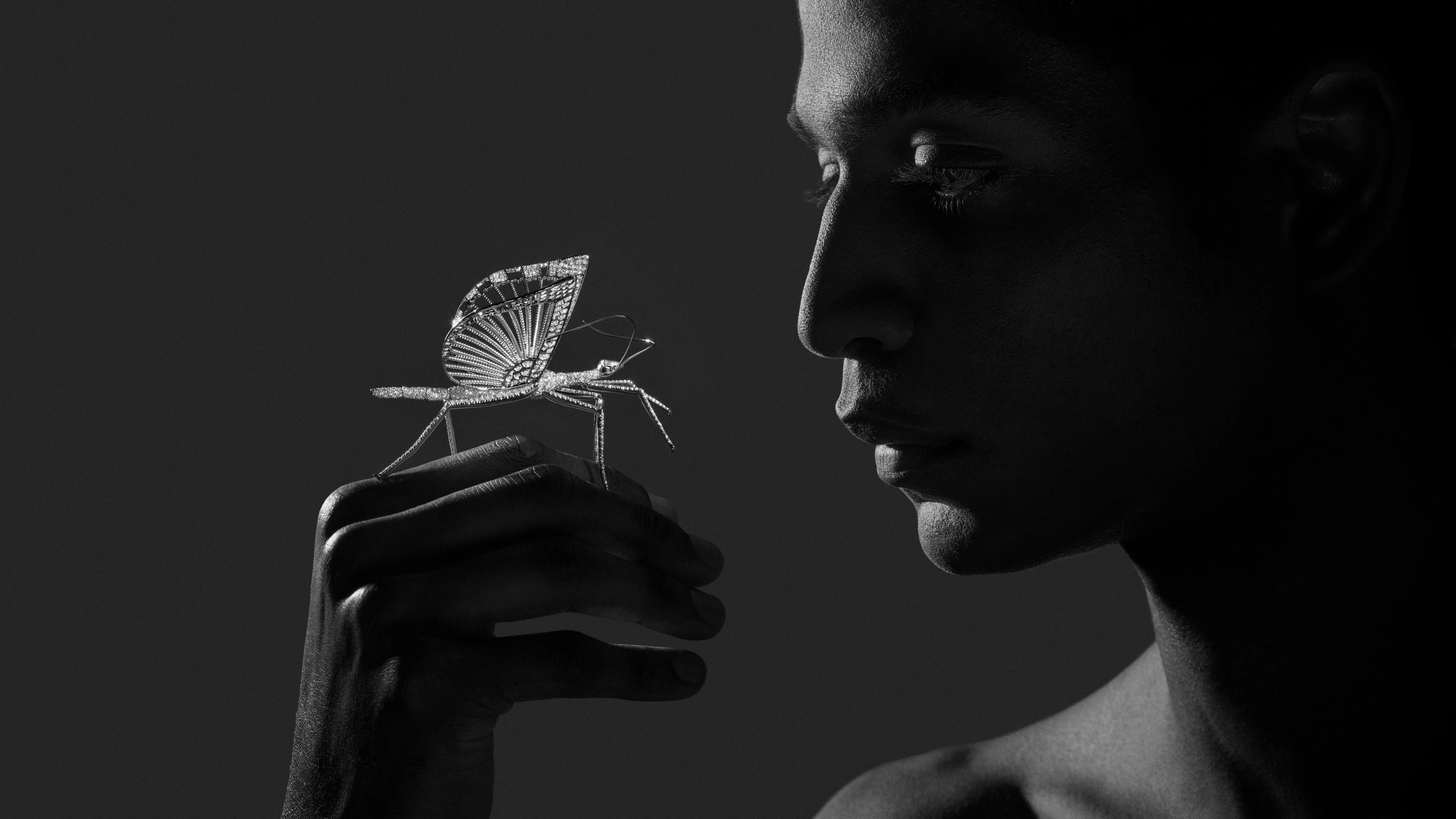 <p>Stick Insect brooch from Composition No.2 of the Boucheron Impermanence High Jewellery collection, crafted in rhodium-plated white gold with grain-set diamonds and a pear-shaped diamond crowning the head </p>