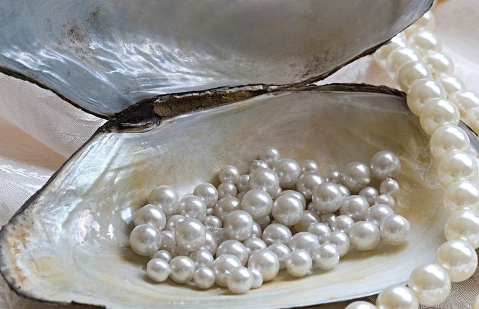 <p>Golden Rules Of Looking After Pearl Jewellery</p>
