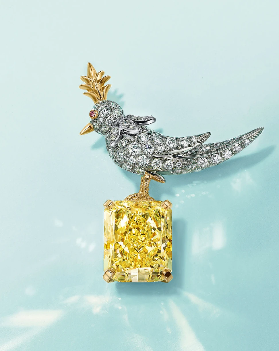 <p>Tiffany&amp;Co. Bird On The Rock brooch with yellow 128.54cts Tiffany Diamond</p>
