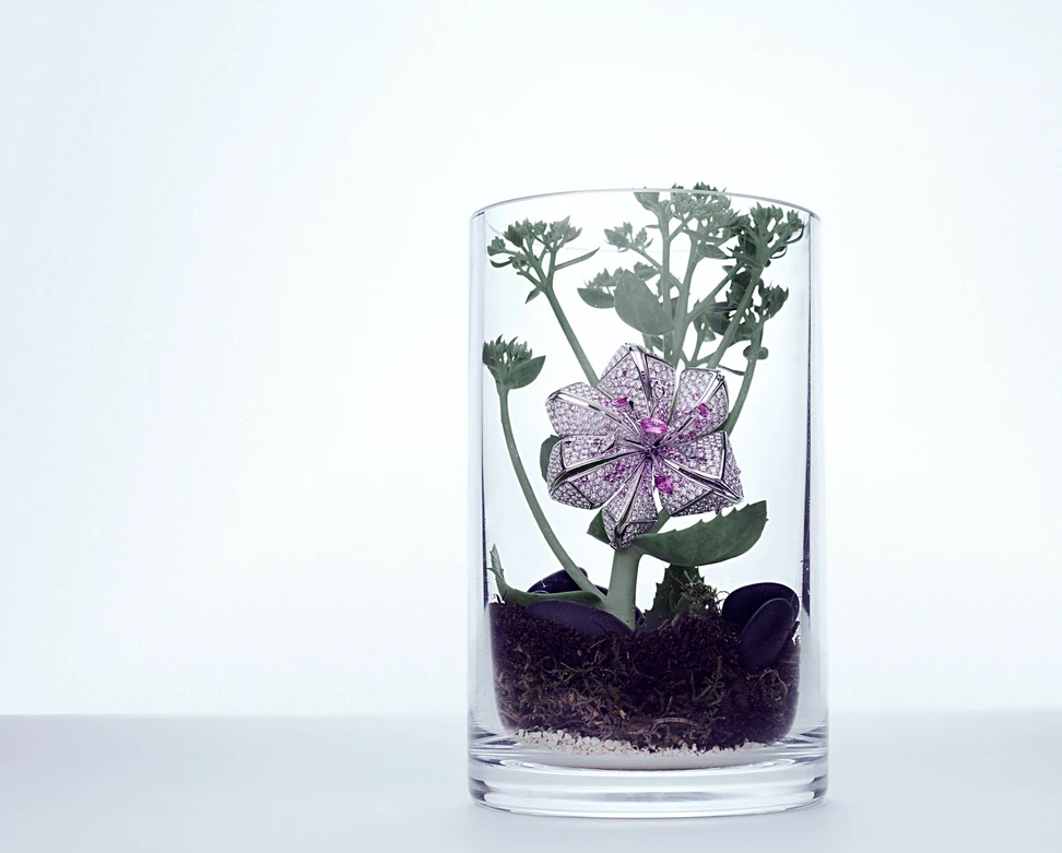 <p>Mellerio Dits Meller Eclats de Lys brooch with pink sapphires and diamonds</p>
