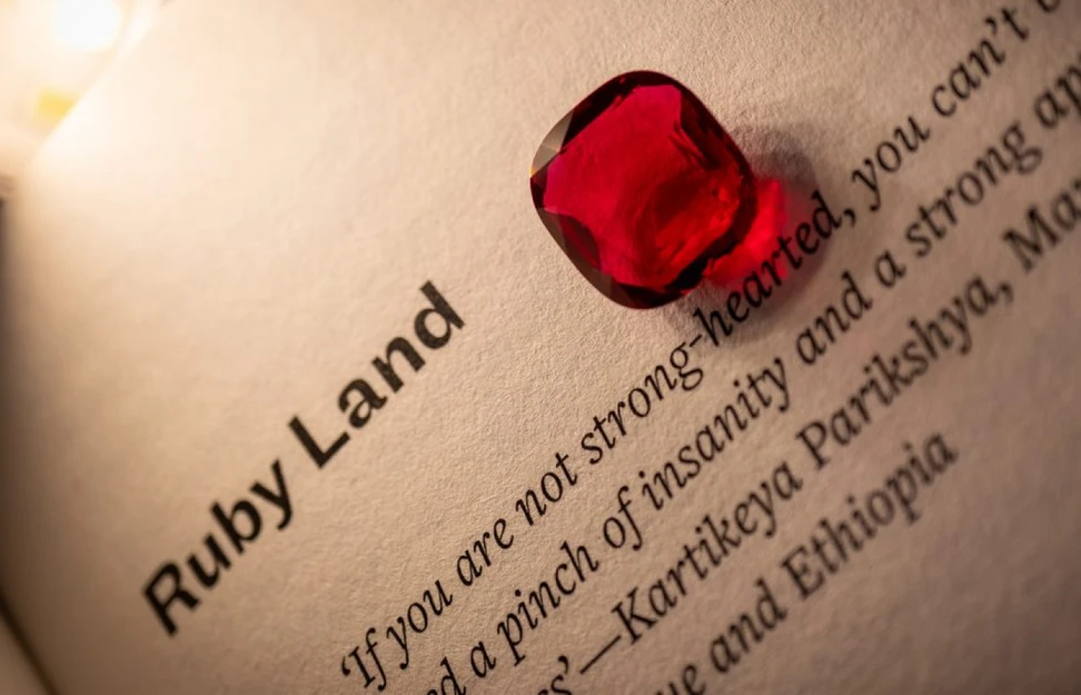 <p>No Stone Unturned by Richa Goyal Sikri </p>