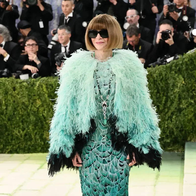 <p>Met Gala co-chair Anna Wintour wore a Van Cleef &amp; Arpels Simone transformable high jewellery necklace nestled in her mint green Chanel feathered jacket</p>
