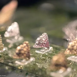 <p>Baselworld 2015 Through Katerina Perez’ Eyes</p>