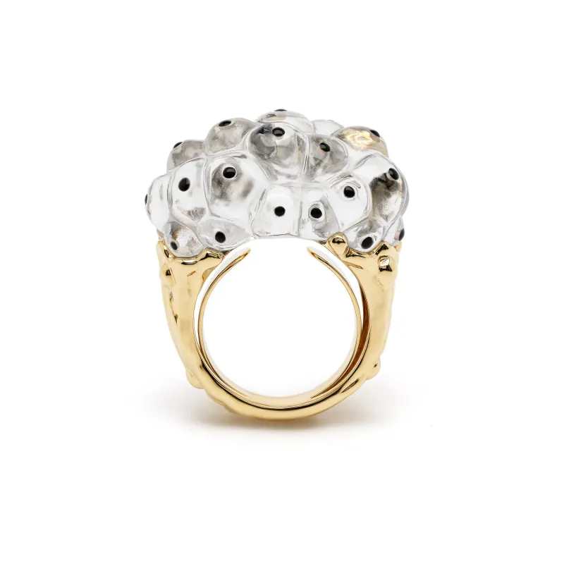 Bibi van der Velden Spawn ring in 18K yellow gold wiht rock crystal, abalone and black enamel