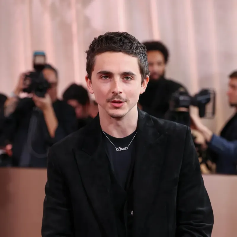 <p>Timothée Chalamet wore a Cartier Panthère necklace</p>
