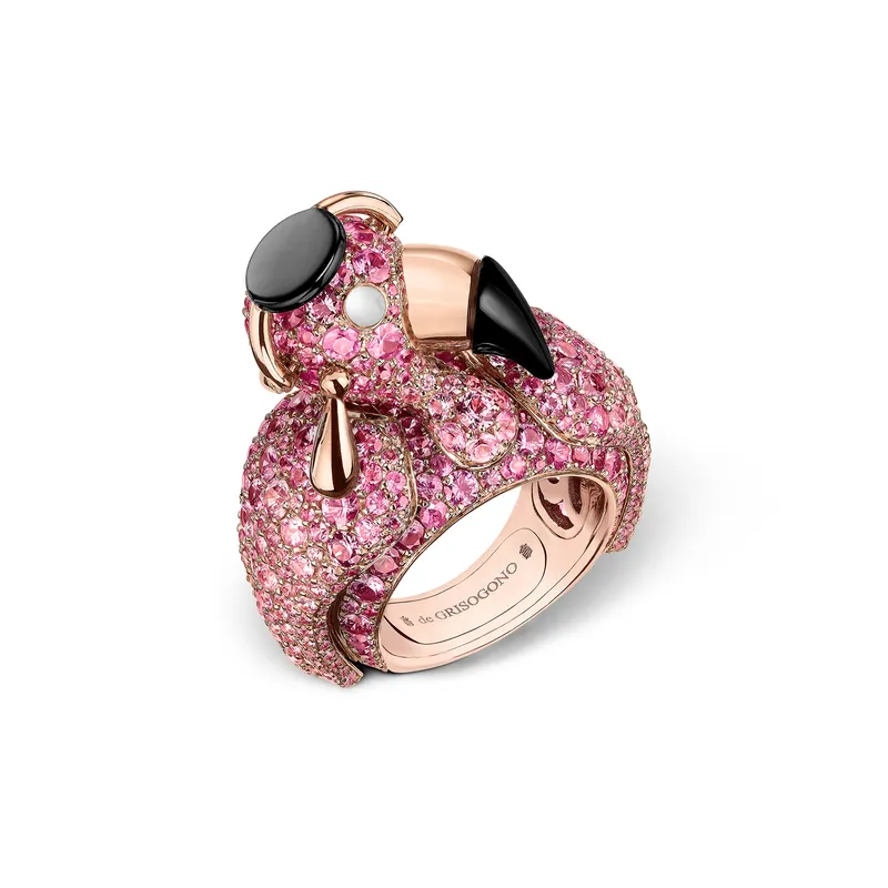 <p>Crazymals Ring</p>