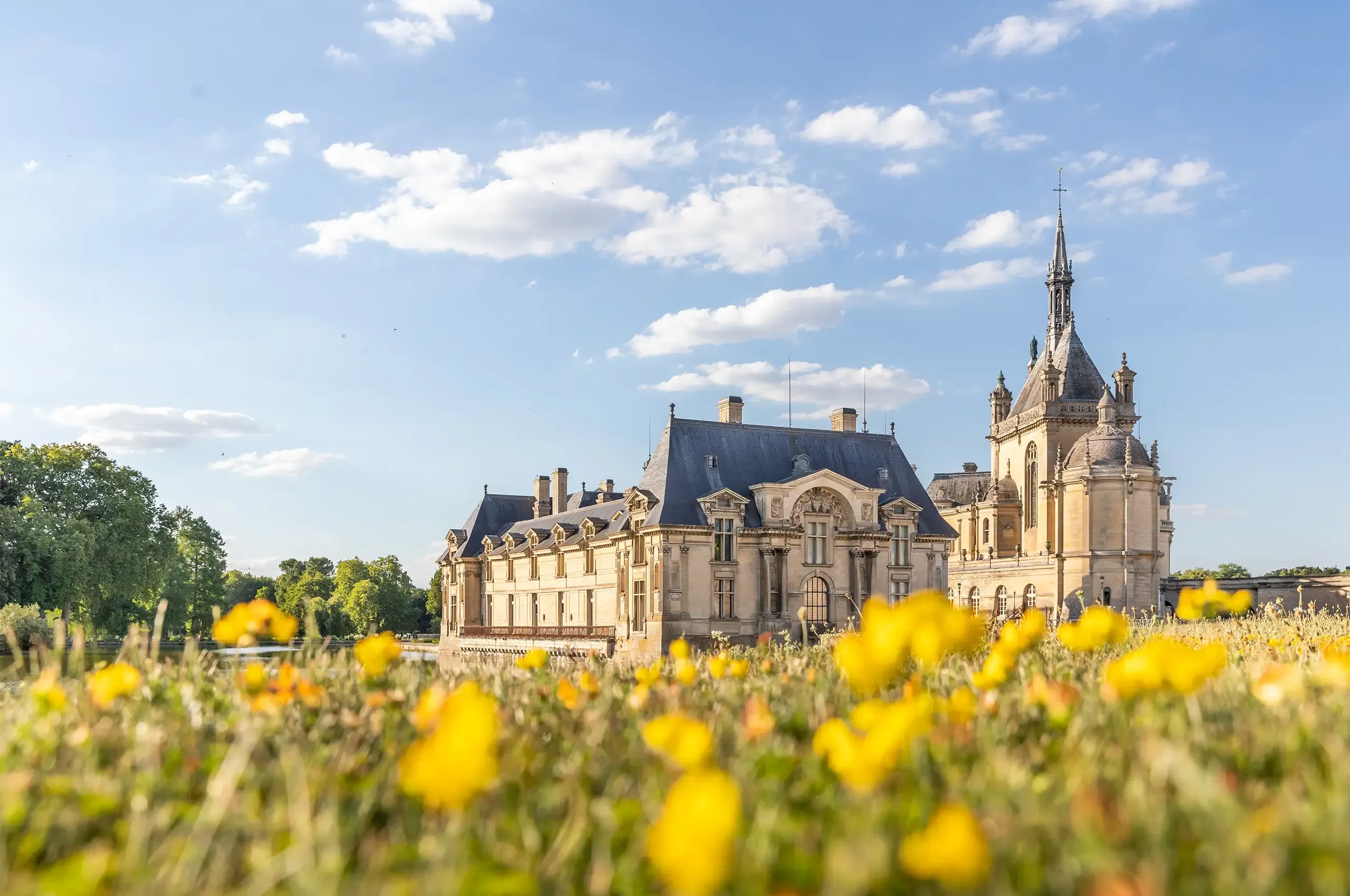 The Grand Condé pink diamond passed through generations of French royalty before eventually entering the collection of Henri, Duke of Aumale, at the Château de Chantilly