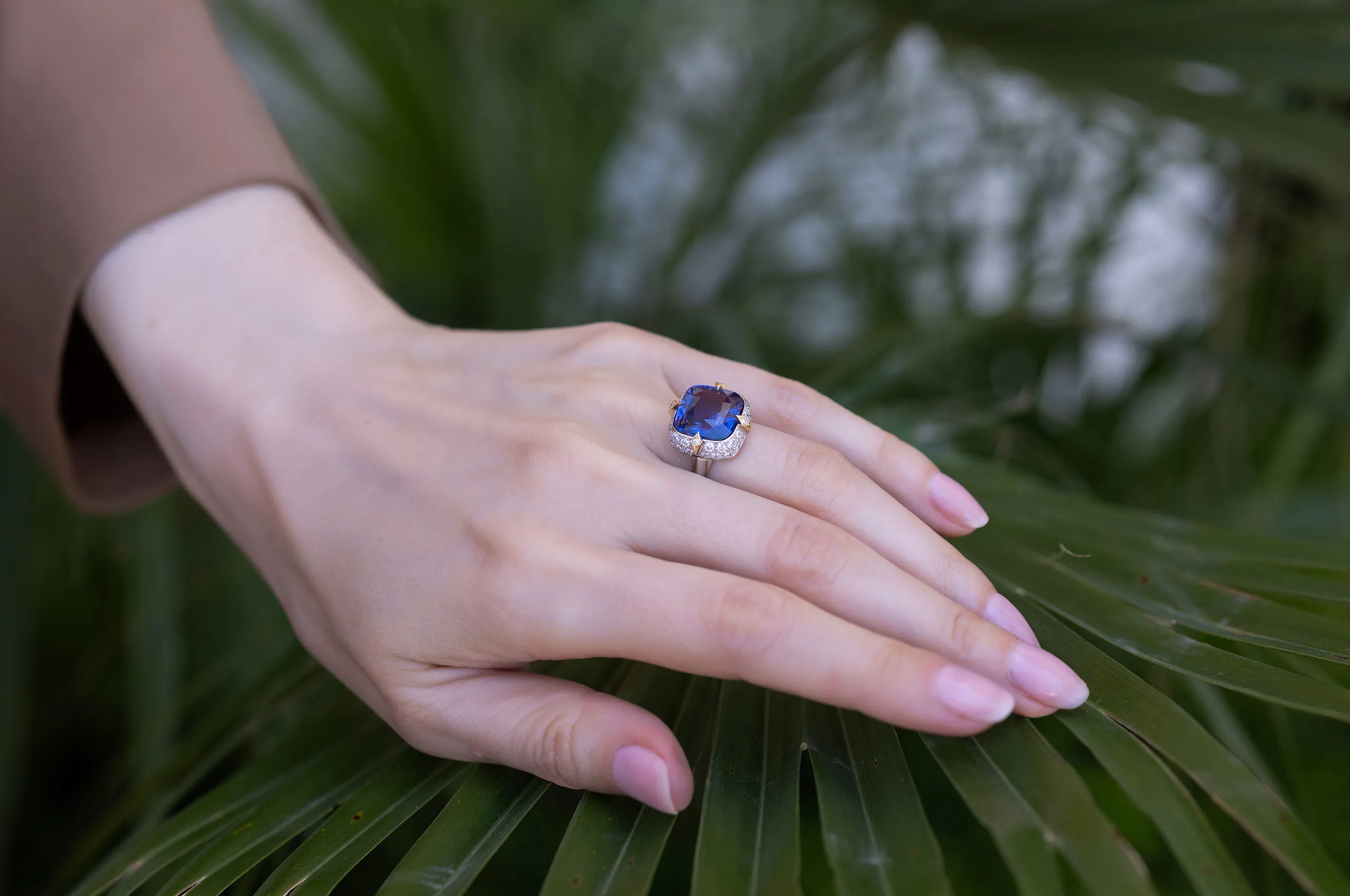 Around 95% of newly mined sapphires are heat-treated, making an unheated stone of this size and quality an extremely rare find