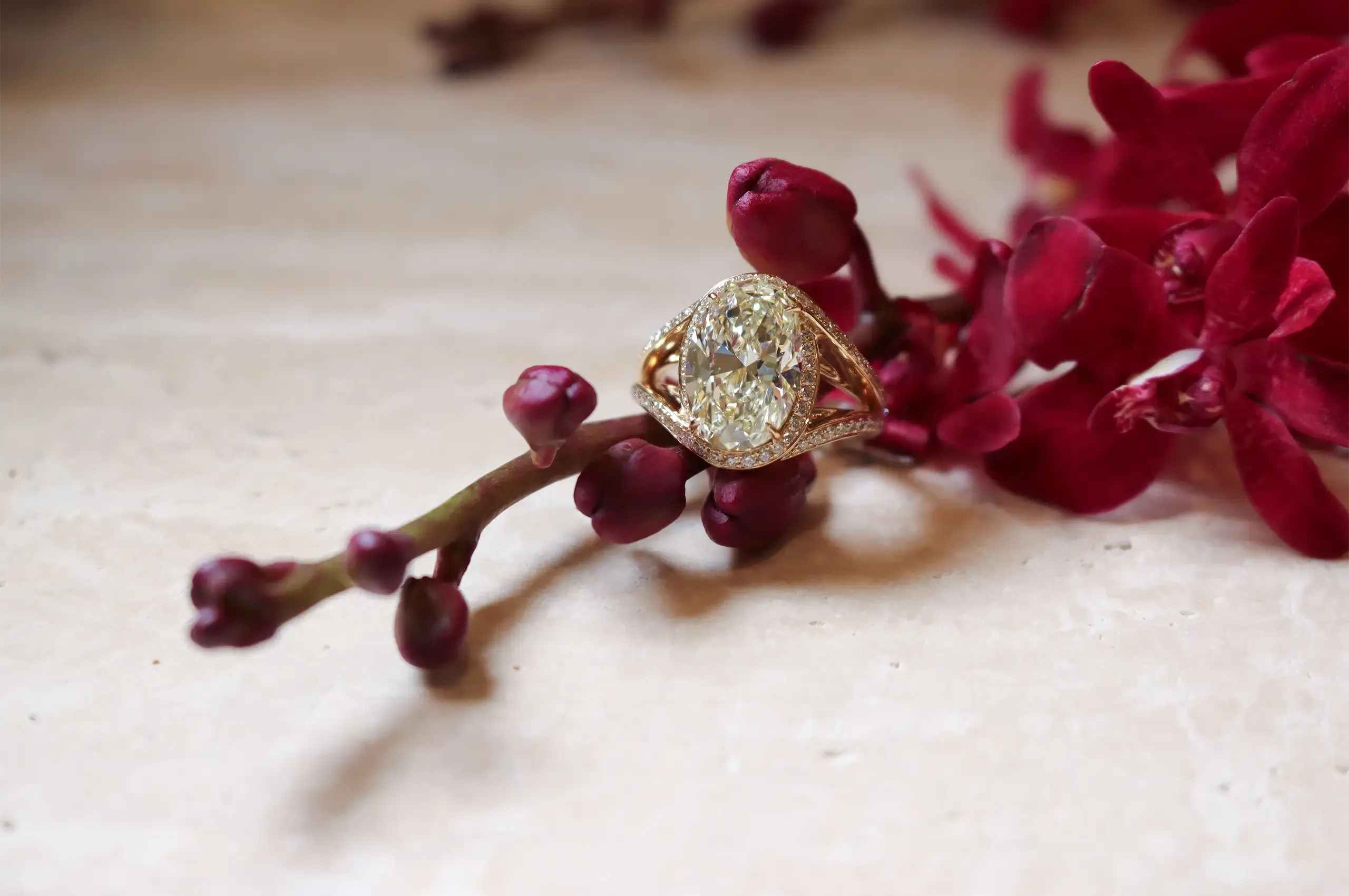 ANTON Jewellery’s Grandeur Oval Brilliant Cut Diamond Ring, featuring a 5.03-carat oval diamond set in 18k yellow gold