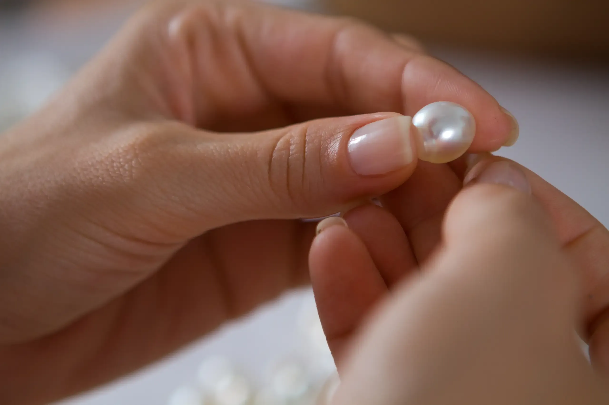 A freshly harvested South Sea pearl being examined by hand