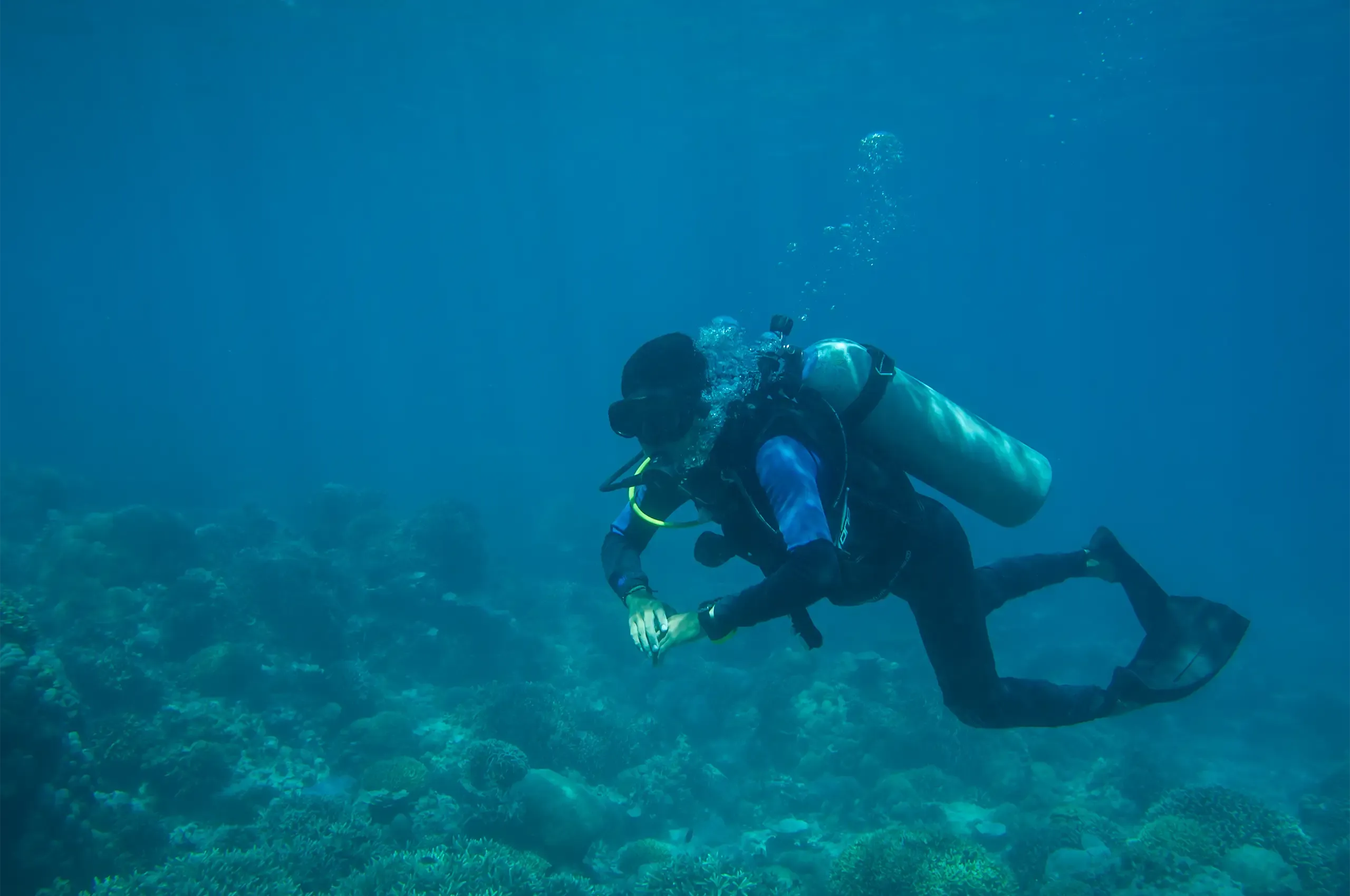 An AUTORE pearl diver at work