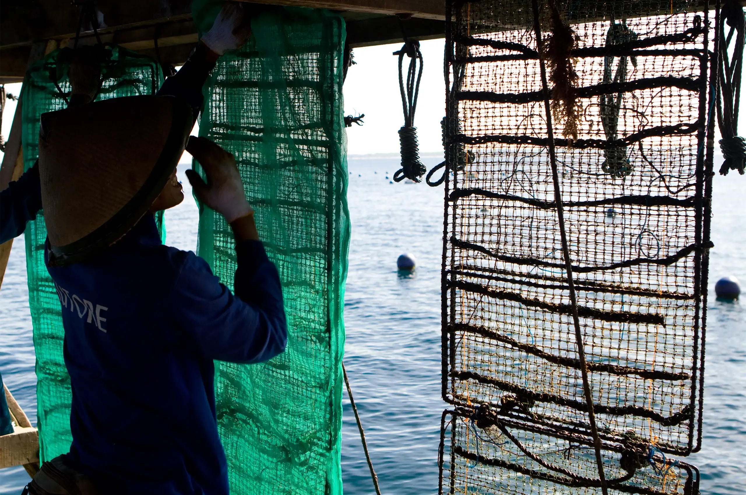 An AUTORE pearl farm worker checking the mesh panels used in pearl cultivation