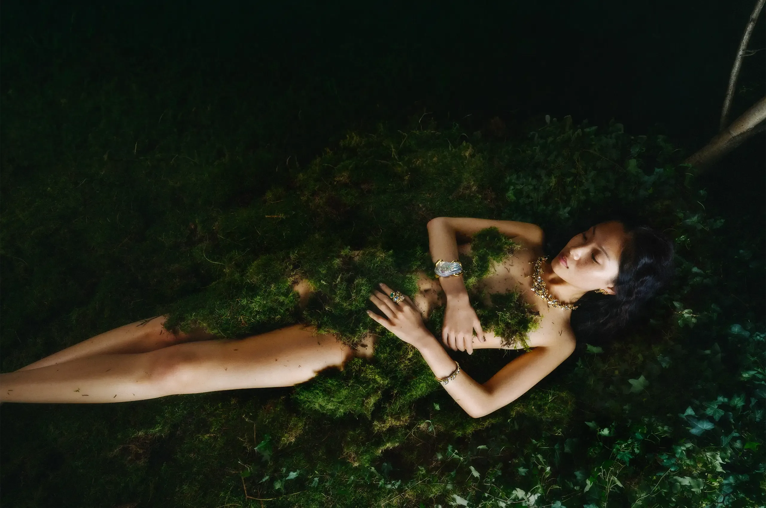 A magical setting for Bibi van der Velden's new Enchanted Forest collection