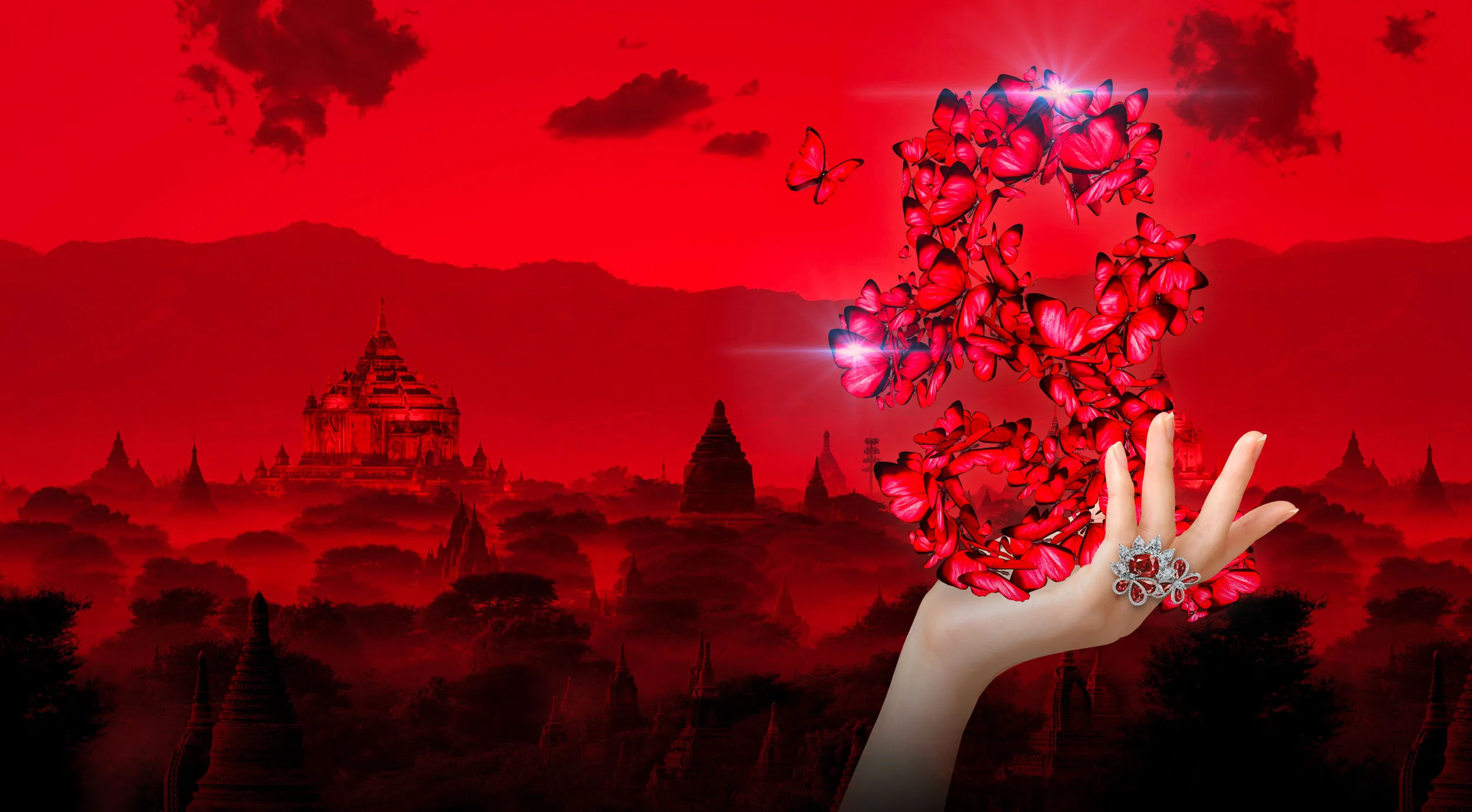 <p>Faidee Burmese Ruby and diamonds ring</p>