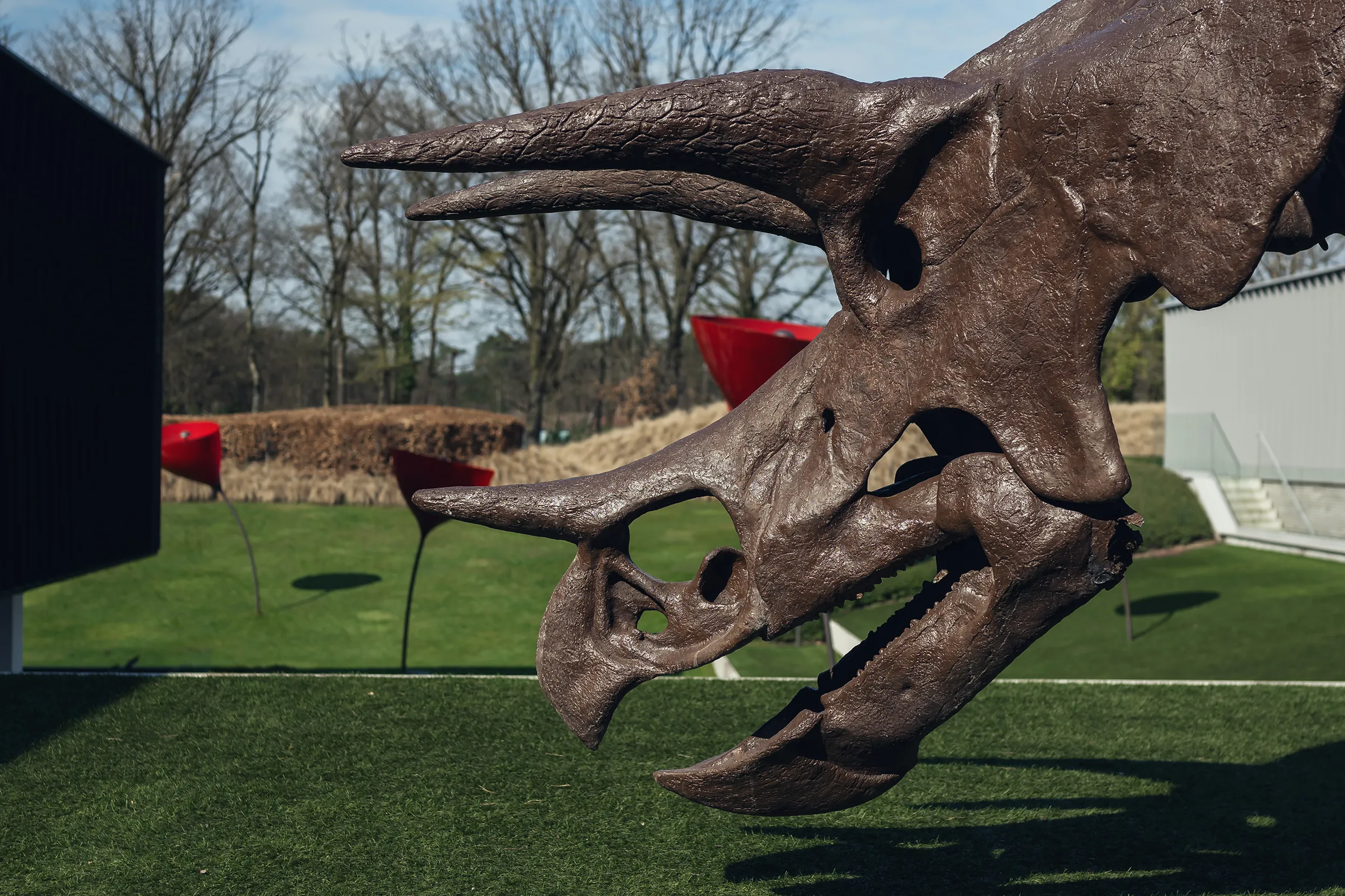 <p>During a stay at La Butte aux Bois, you can expect to encounter fine jewellery, gems, minerals and even dinosaurs</p>
