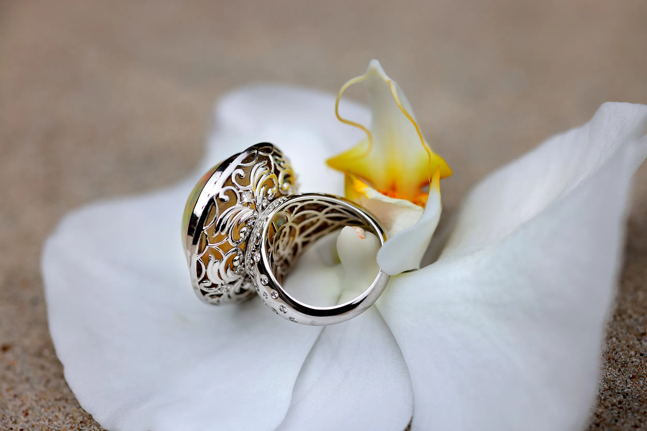 Katerina Perez and Amit Bhansali, founder of Chromia_Every Chromia New York jewel begins life in the brand’s Jaipur atelier, where a team of artisans handcraft each design in 18k gold