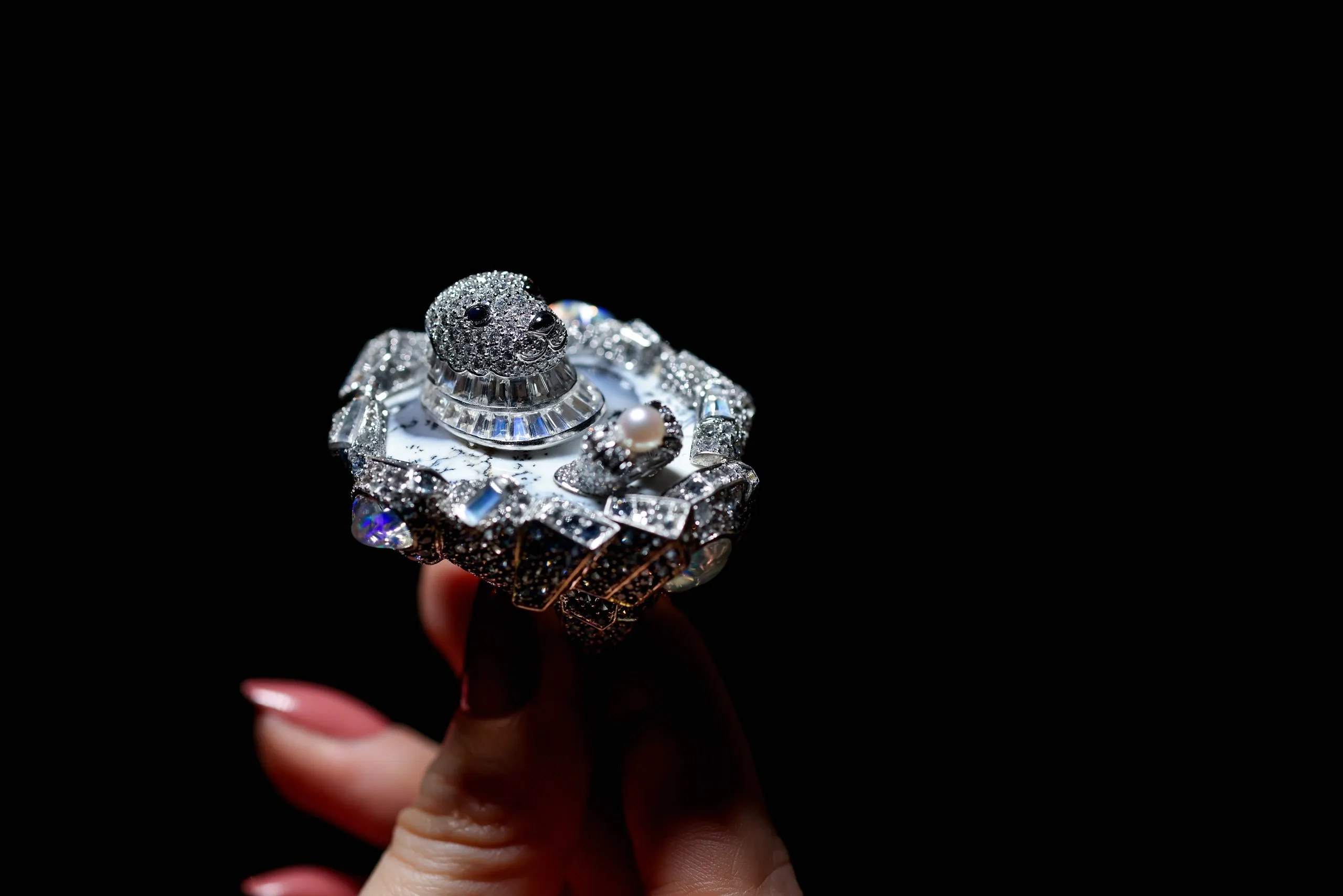 <p>One of the chapters of White Paradise features a series of creatures that take on the colour of snow for camouflage</p>
