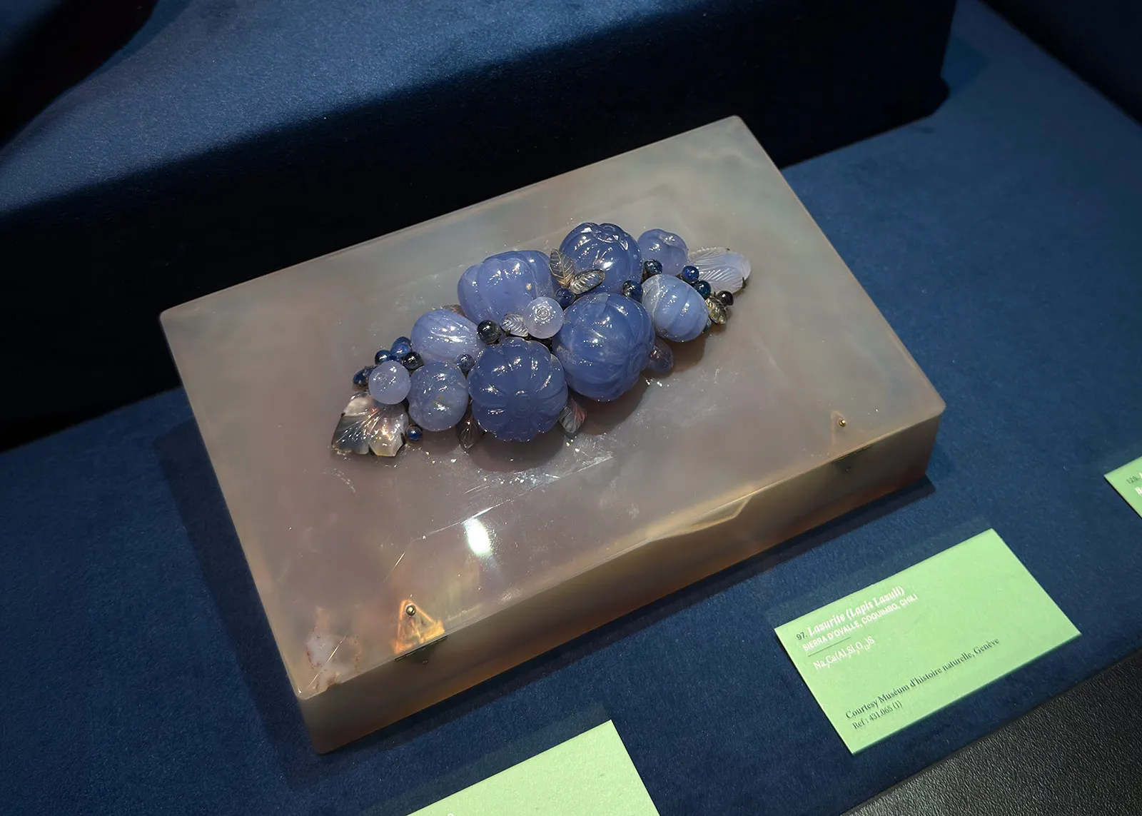 <p>This exhibit was on loan from the Museum of Natural History in Geneva</p>
