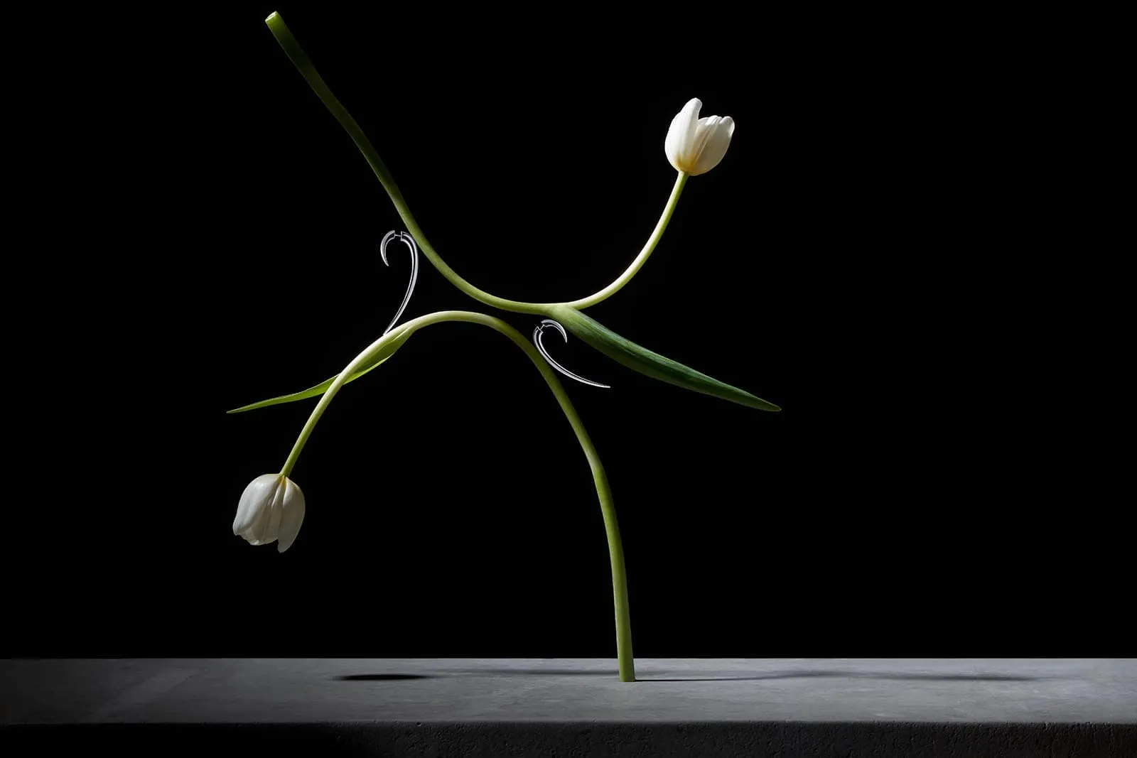 <p>Leane likes jewellery to reflect opposing characteristics. “As in nature, a rose can be alluring from its flower, but daring with its thorns,” he says</p>