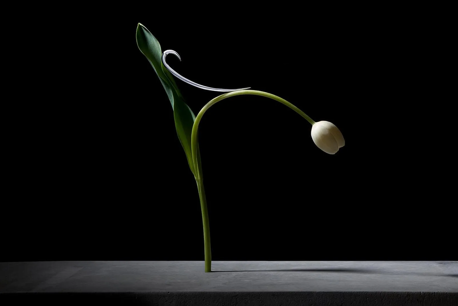 <p>The hook motif is alluring, yet laced with a hint of danger</p>