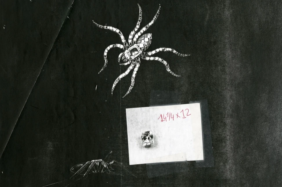 Archival sketch of David Webb’s spider brooch, published by David Webb.