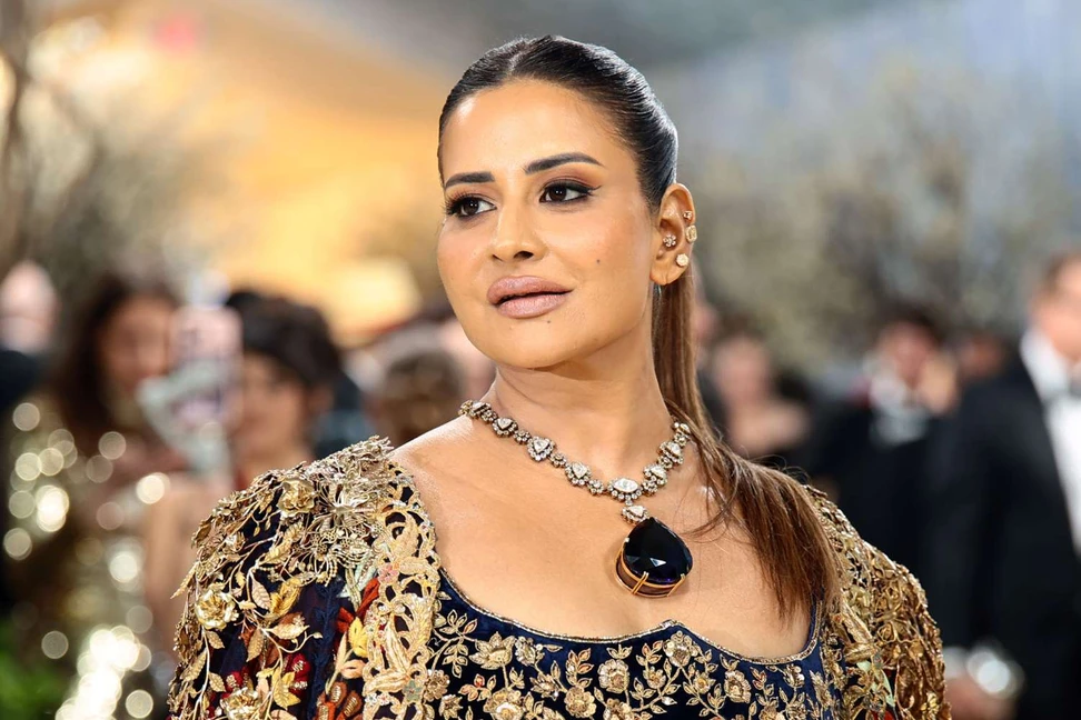 <p>Sudha Reddy wore the 550-carat ‘Queen of Merelani’ tanzanite, valued at more than $15 million, from her personal collection</p>
