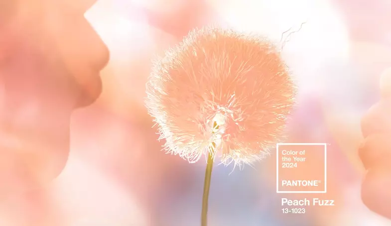 S2x1 peach fuzz pantone colour of the year 2024 banner.jpg