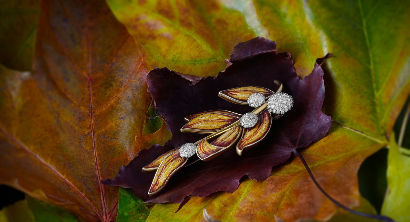 Jewellery Editorial: Autumn Nocturne
