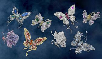 S1x1 butterfly collection courtesy annahu 2