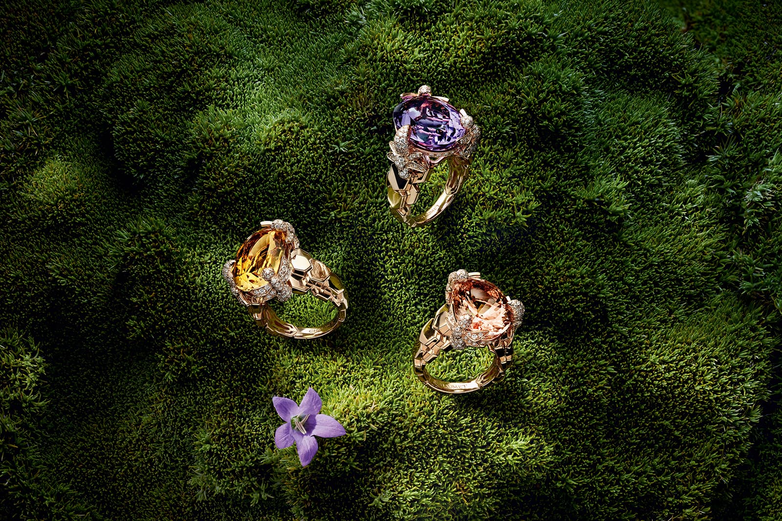 Chaumet 'Bee My Love' rings with yellow sapphire, morganite and amethyst all accented with diamonds in rose gold