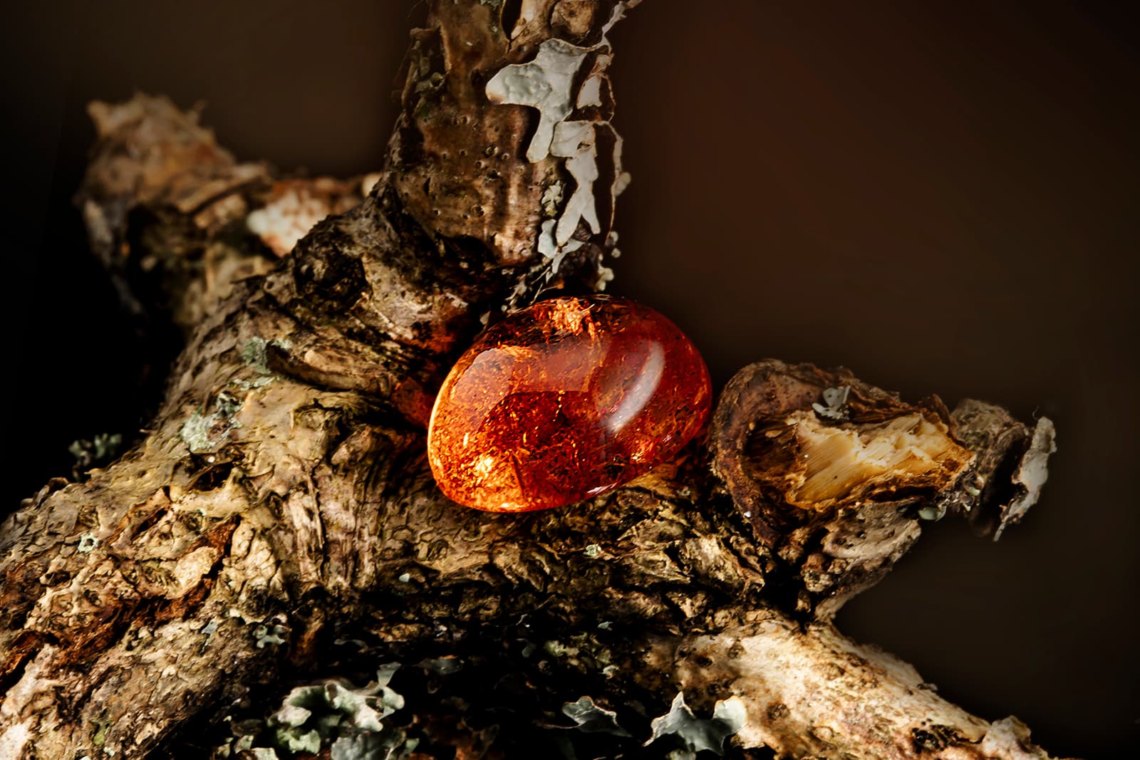 A fiery 13.01 carat Mandarin garnet cabochon from Gebrüder Meelis 