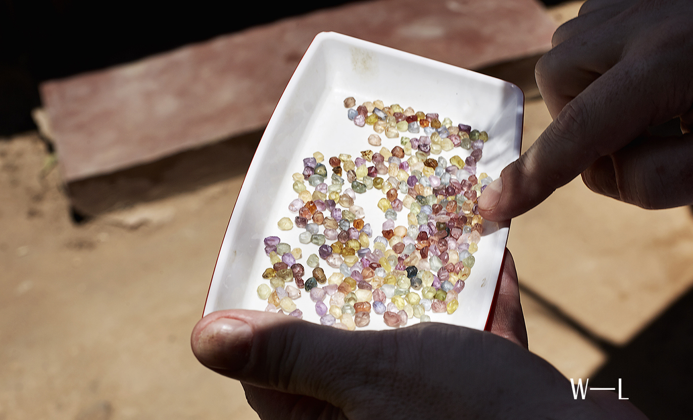 A typical small parcel of rough sapphires prior to the final selection by Wennick−Lefèvre. Photography by Ture Andersen
