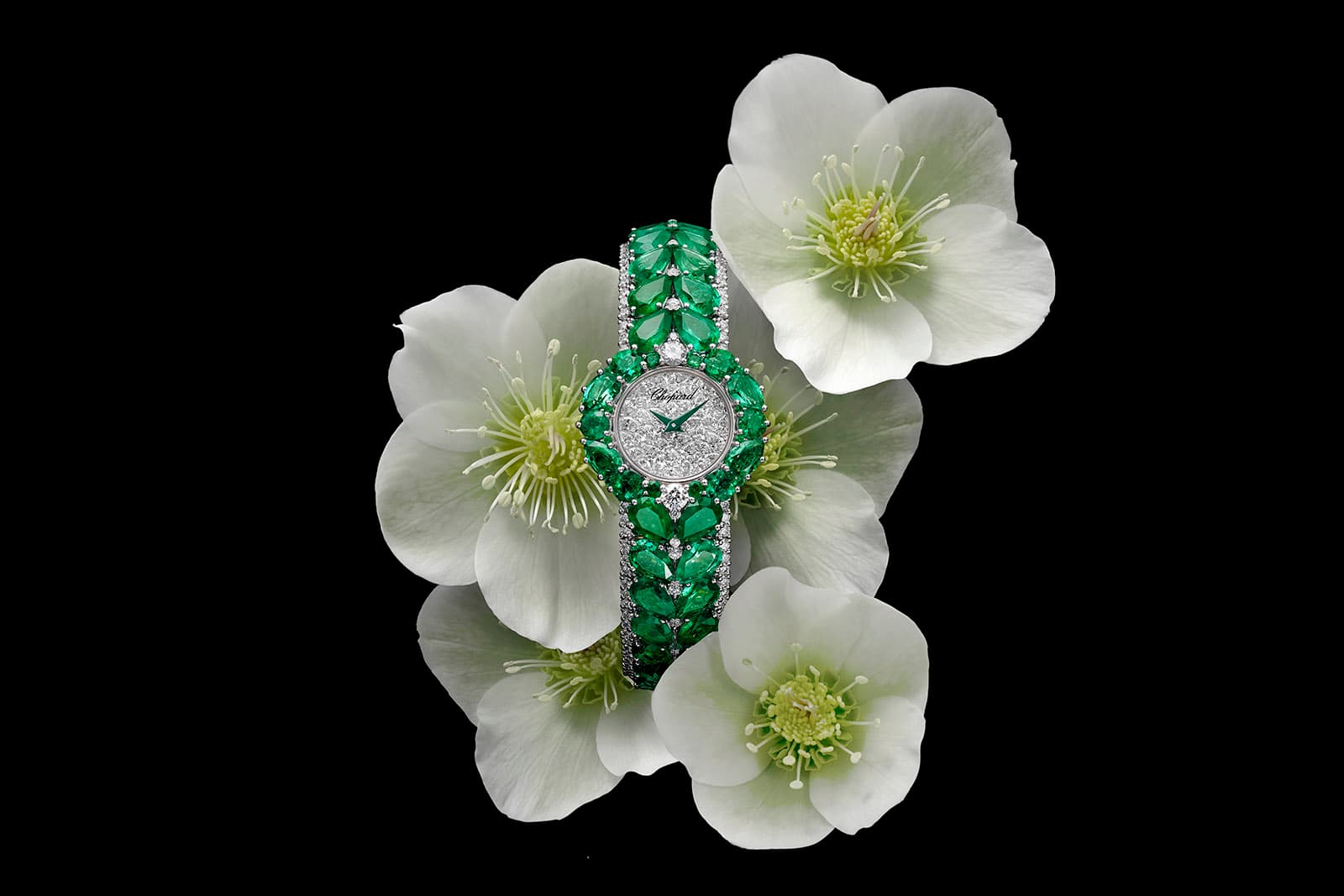 New pavé diamond watches with sparkling personalities