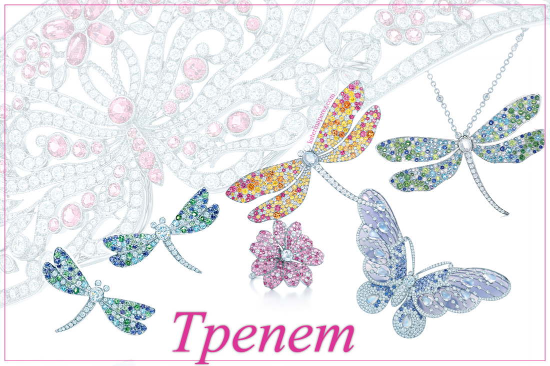 Tiffany&Co-Trepet тиффани блу бук ювелирные украшения драгоценности стрекоза бабочка брошь