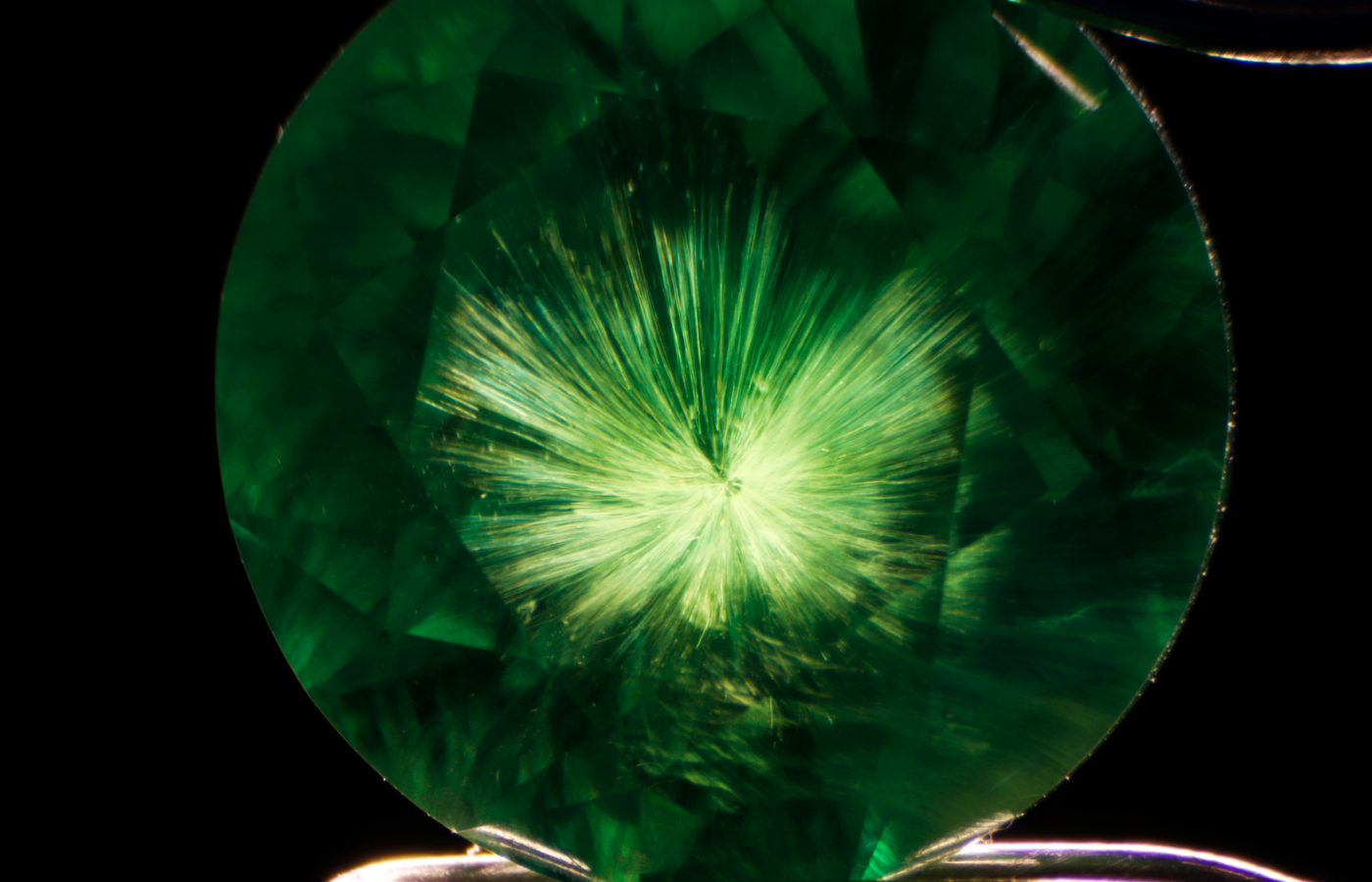 An incredible horsetail inclusion in Russian demantoid garnet, photographed by Tsarina Jewels