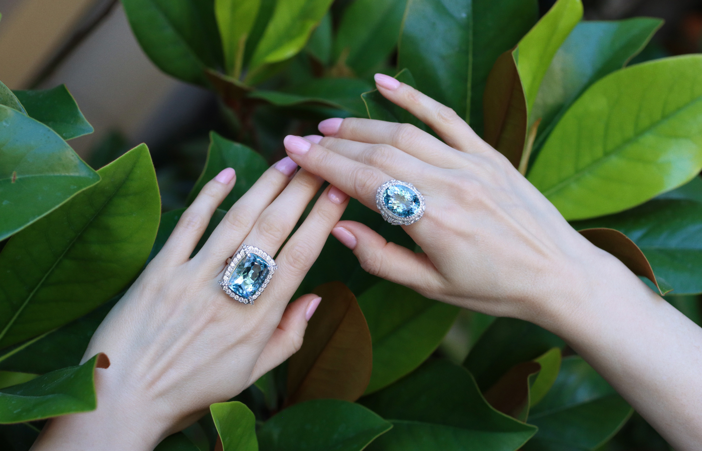 Sunita Nahata Blue Planet rings, including a 26.88 carat cushion-cut aquamarine ring (left) with 2.13 carats of pink sapphire and diamonds, alongside an 18.73 oval-shaped aquamarine ring with more than two carats of round and marquise-shaped diamonds, both set in 18k white gold 